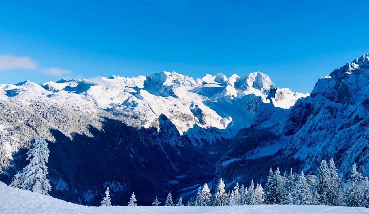 Gosau Apartment 006 エクステリア 写真